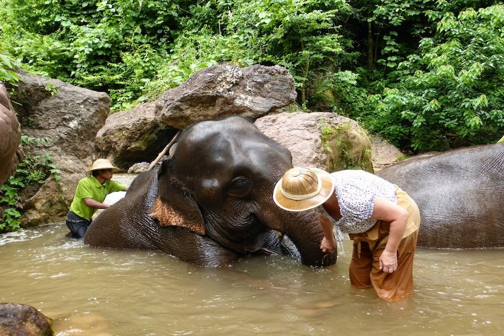 Kalaw Elephant Camp Trek 2 Days